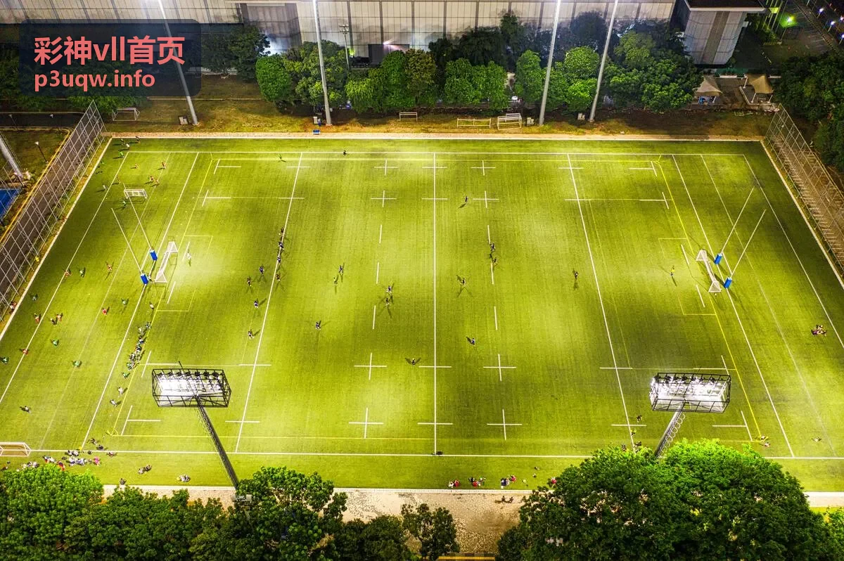 彩神vll首页数据板块新功能说明